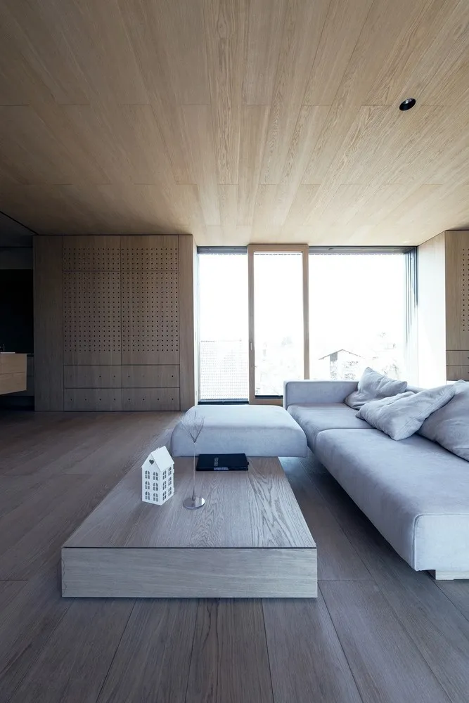 OFIS Architects设计的3SHOEBOX House位于斯洛文尼亚卢布尔雅那