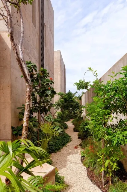 墨西哥坎昆的家由弗朗西斯科·埃利亚斯工作室设计