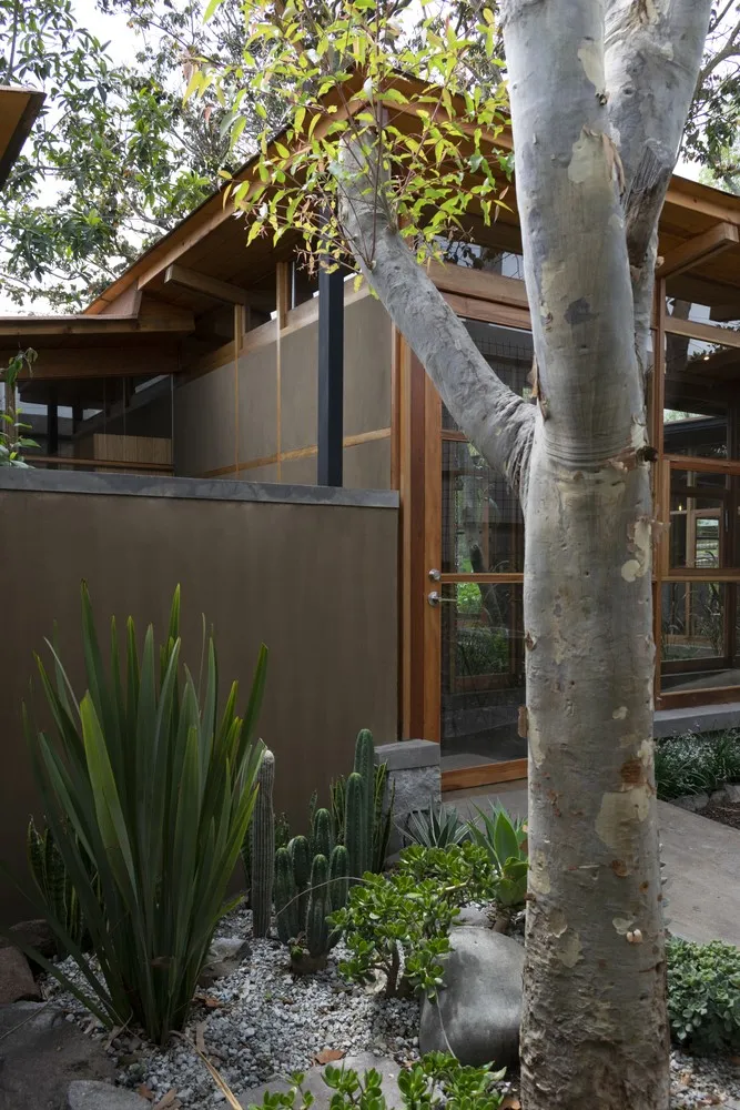 Дім серед дерев від El Sindicato Arquitectura в Кіто, Еквадор Дім серед дерев від El Sindicato Arquitectura в Кіто, Еквадор