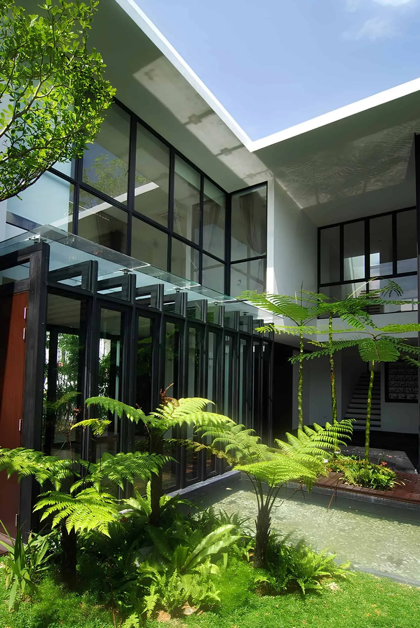 梅灵瓦街茂密的内部花园，配有蕨类植物和水景结构。