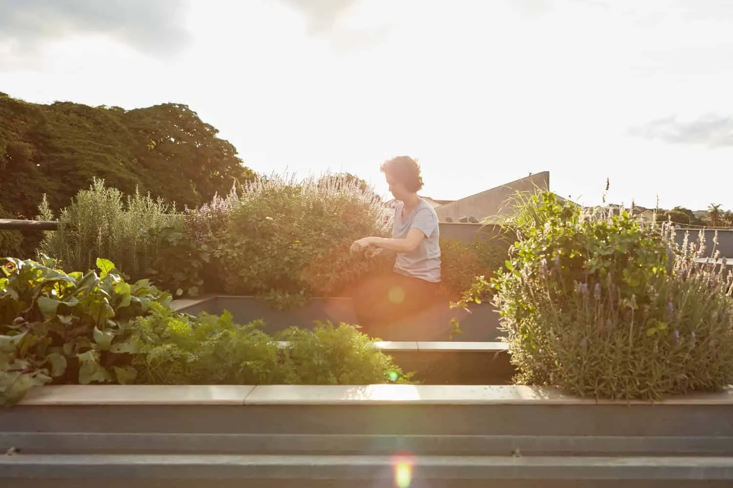 巴西马林加 Une Arquitetura 设计的 538 号住宅 巴西马林加 Une Arquitetura 设计的 538 号住宅