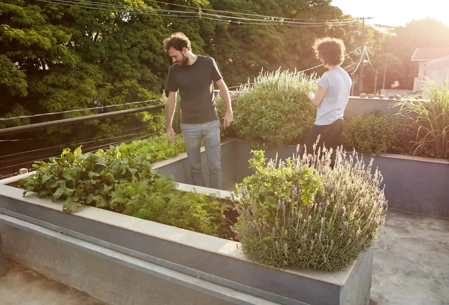 巴西马林加 Une Arquitetura 设计的 538 号住宅 巴西马林加 Une Arquitetura 设计的 538 号住宅