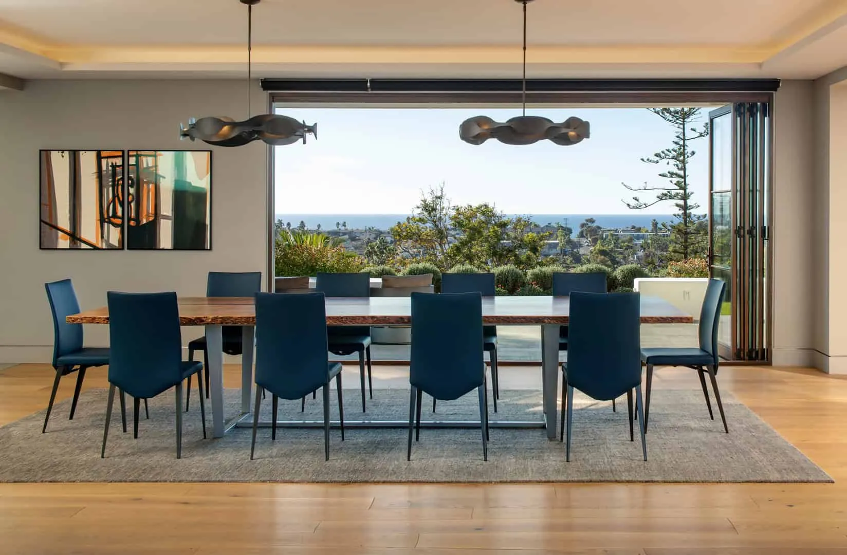 10. Encinitas Entire Home New Build