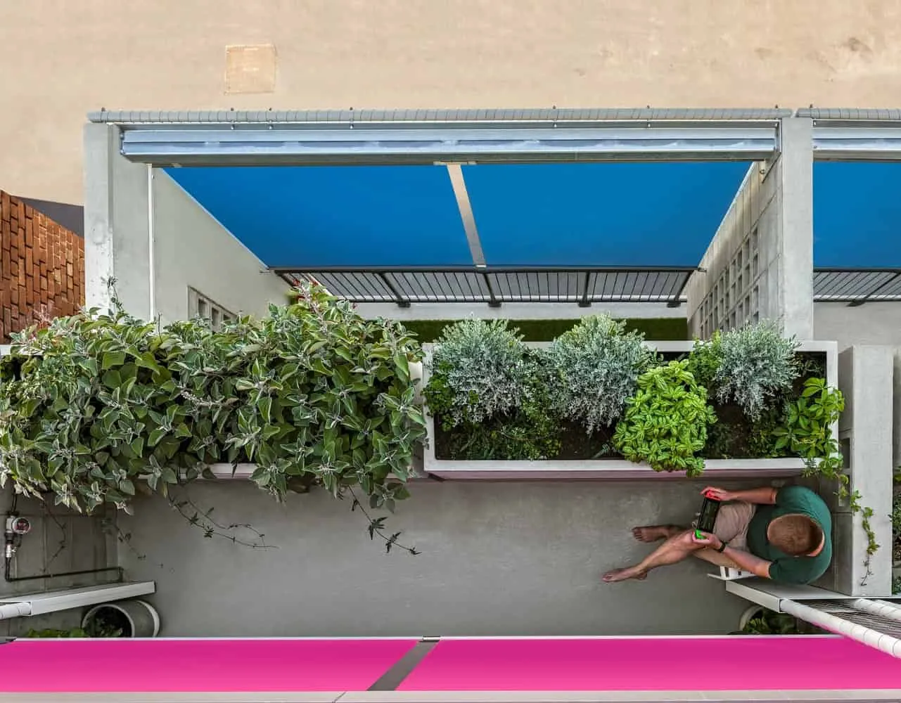 Terrace House by Austin Maynard Architects in Australia