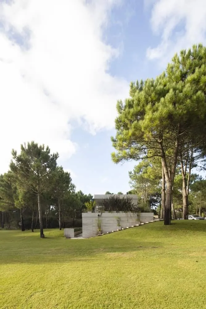 Estudio Frolik设计的十棵松树之家，阿根廷皮纳马尔