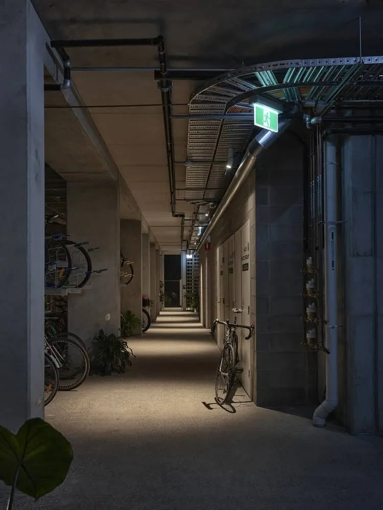 Terrace House by Austin Maynard Architects in Australia