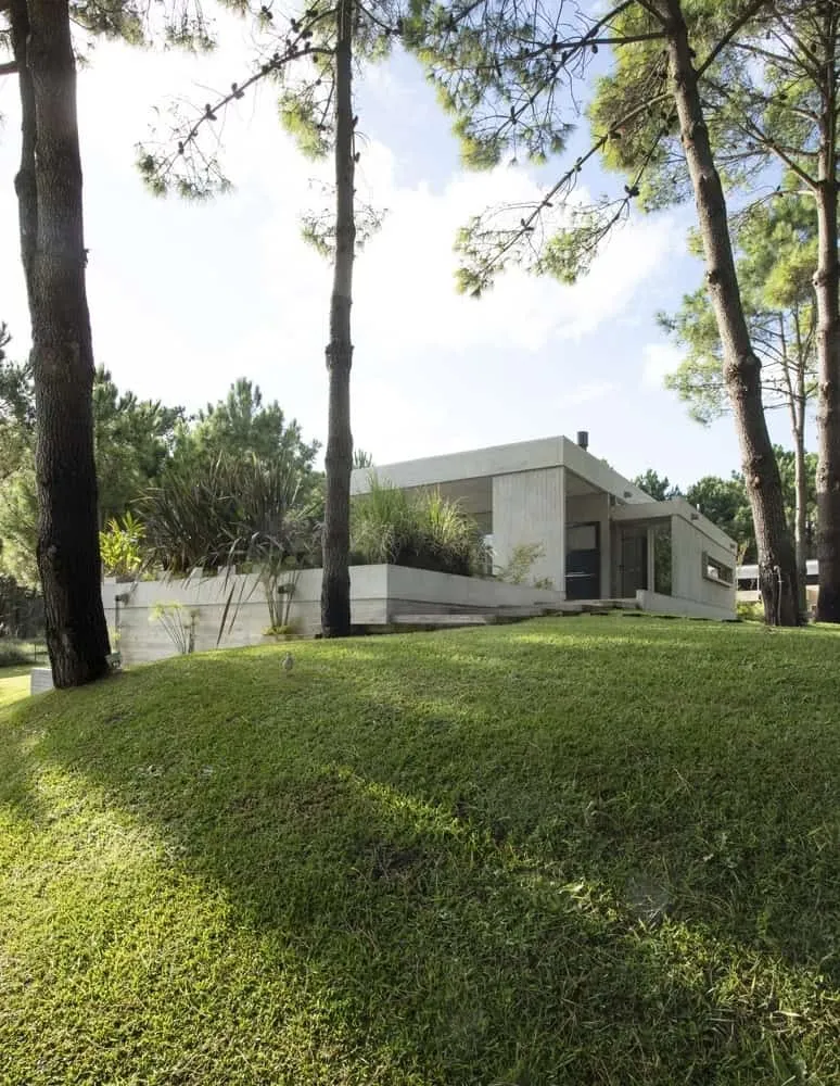 Estudio Frolik设计的十棵松树之家，阿根廷皮纳马尔