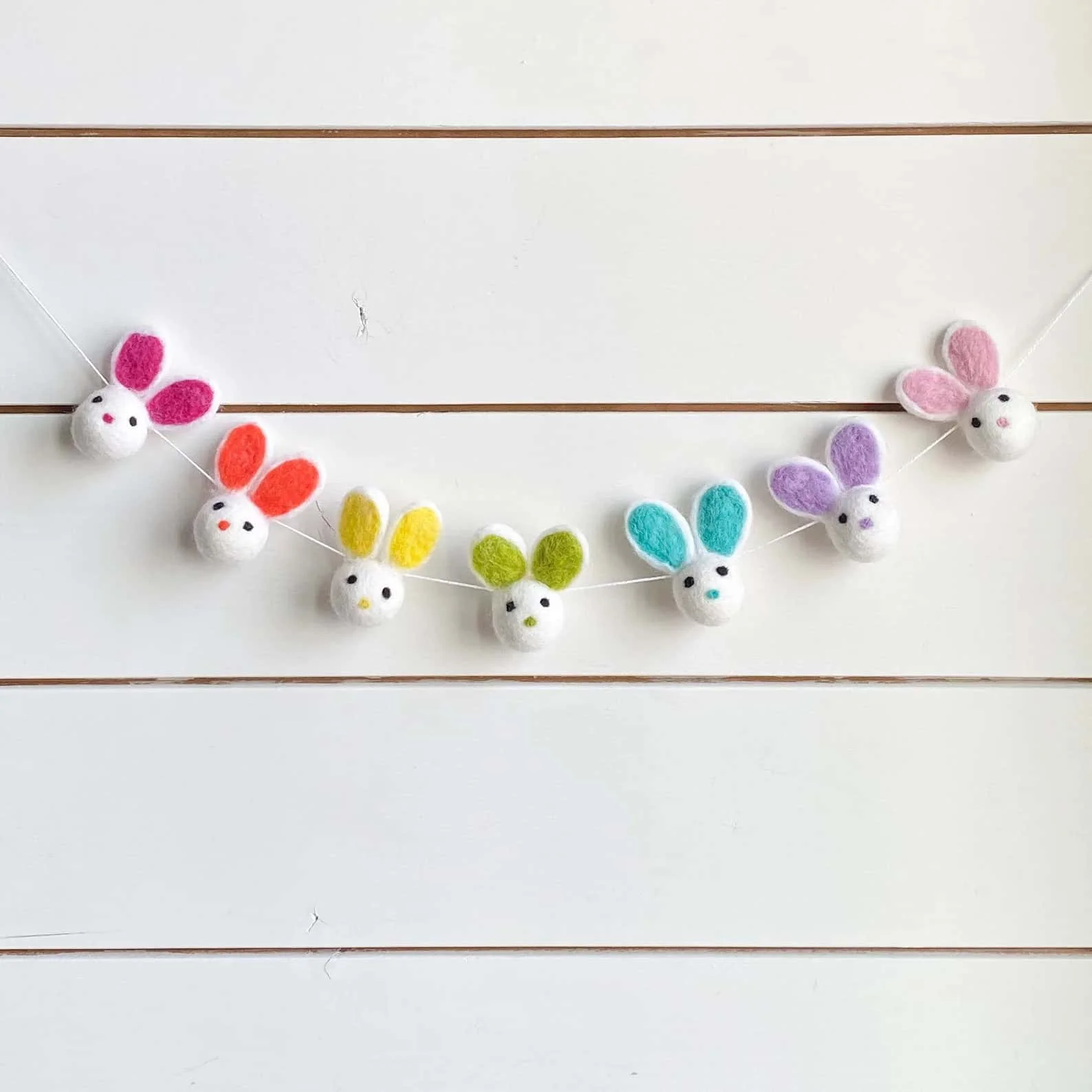 14. Guirnaldas arcoíris cítricas con conejo