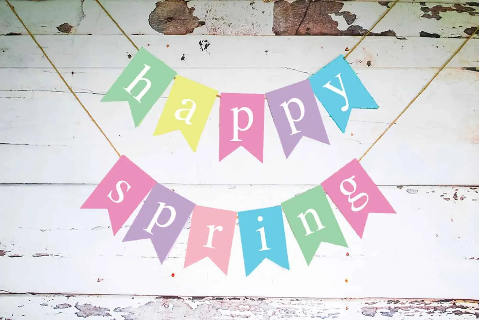 6. 纸板春季装饰