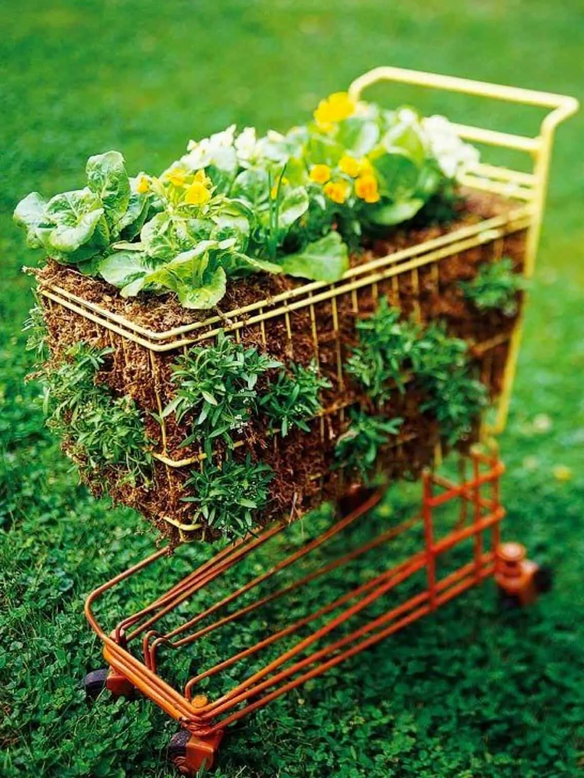 12. Child's Cart Filled with Flowers
