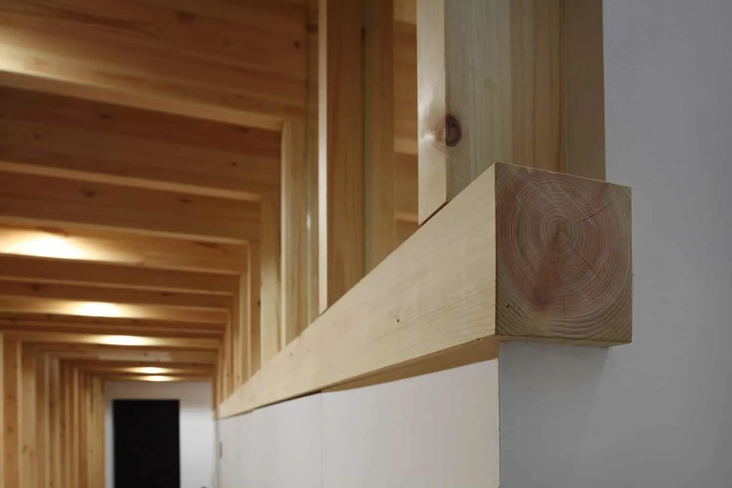 伊藤淳一建筑事务所设计的格罗夫住宅，日本秋田市