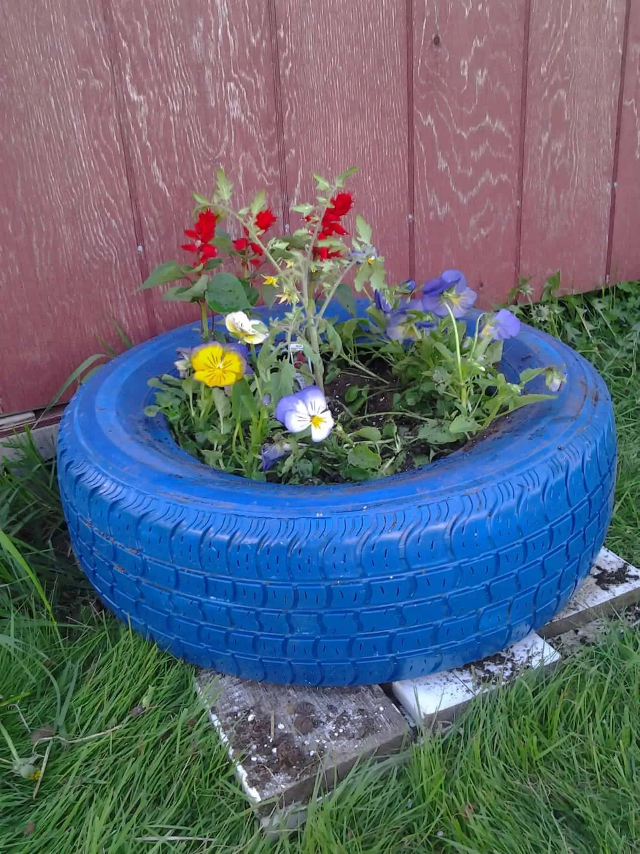 5. Painted Tire Planter