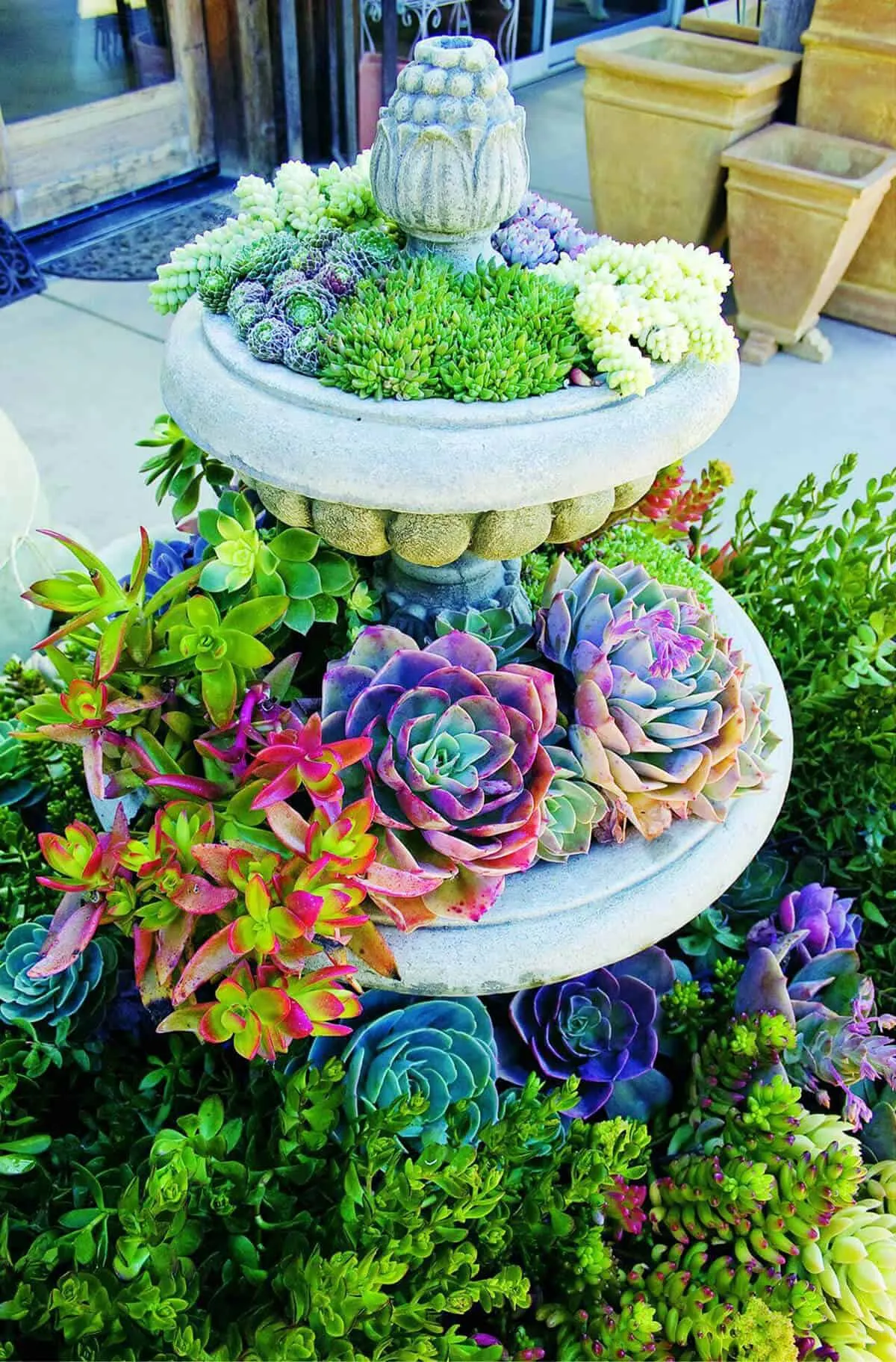 10. Succulents on a Bird Fountain