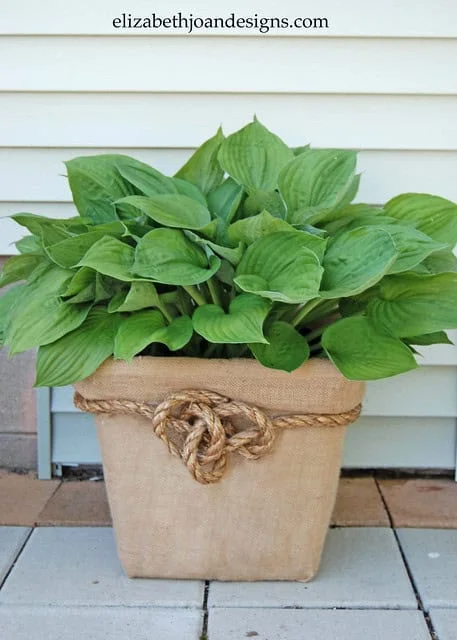 6. 用洗衣篮制作花盆