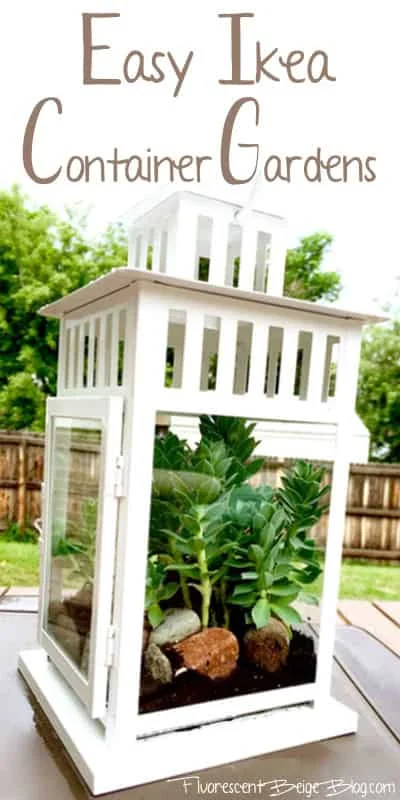 10. IKEA制作的 Terrarium