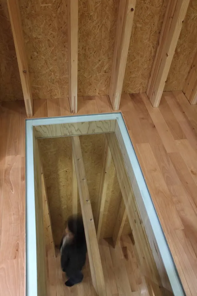 伊藤淳一建筑事务所设计的格罗夫住宅，日本秋田市