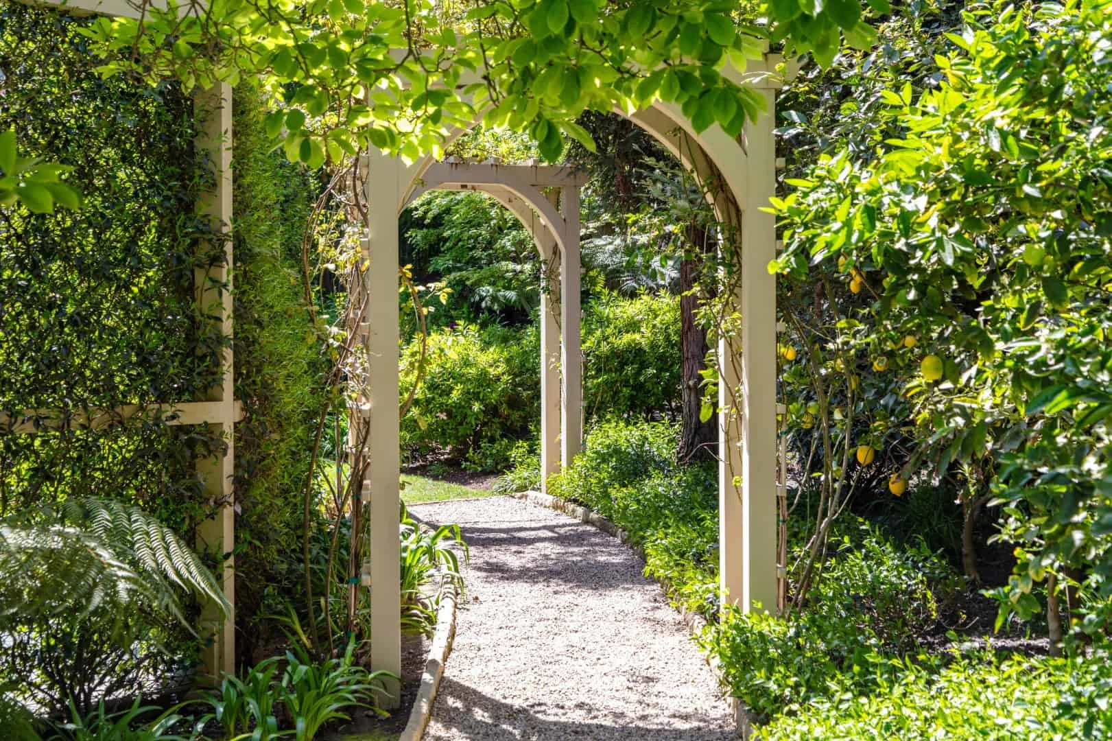 5. 霍姆伍德住宅