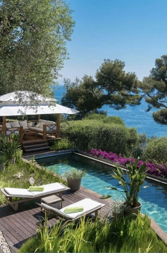 3种适合围绕泳池种植的植物