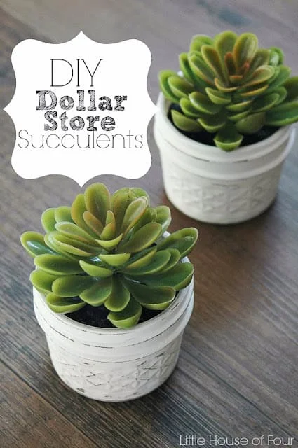 10. HACER RÁPIDAMENTE Y FÁCILMENTE SUCCULENTES EN TIENDA EN DESCUENTOS