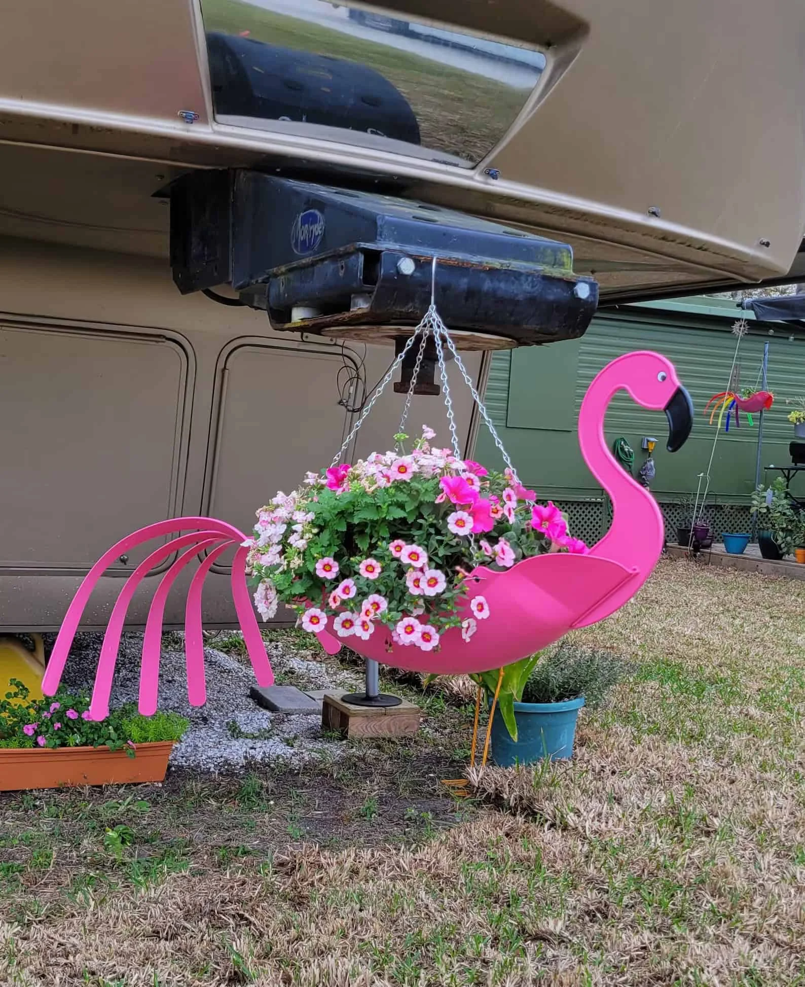 5. Flamingo elegante Flo