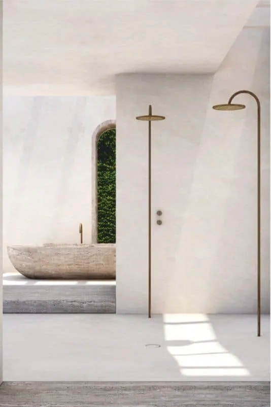 Walking in the Shower: Most Beautiful Decorative Inspirations