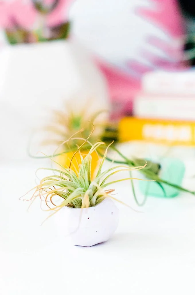 14. DIY BRICK GEMMY CONNECTED MINI PLANTERS