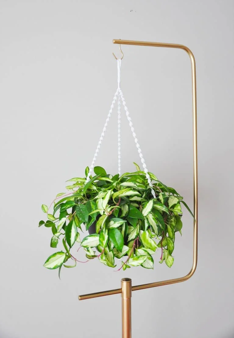 4. DIY Macrame Hanging Planter with Gold Plant Stand