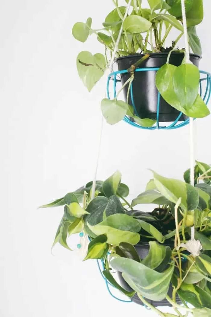 8. DIY HANGING WIRE PLANTER