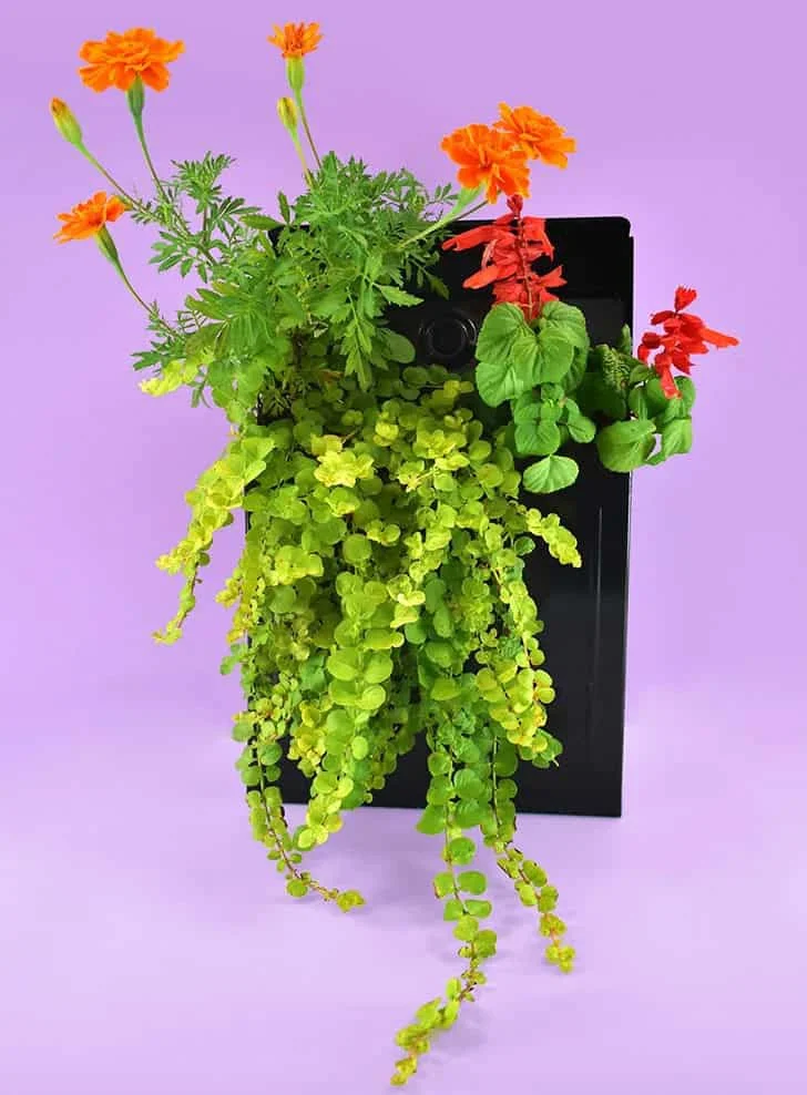 9. Macetero colgante de buzón postal DIY