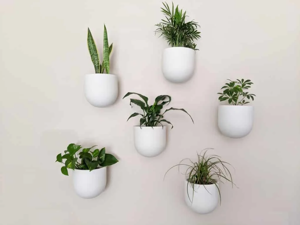 16. MACETEROS MODERNOS BOHO