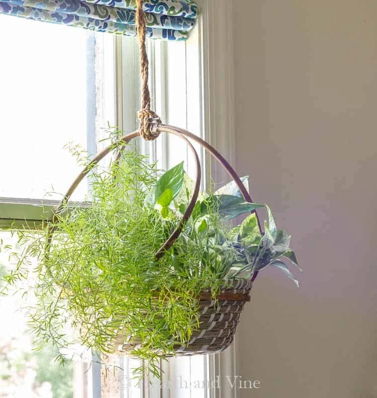 2. DIY Basket Hanging Planter