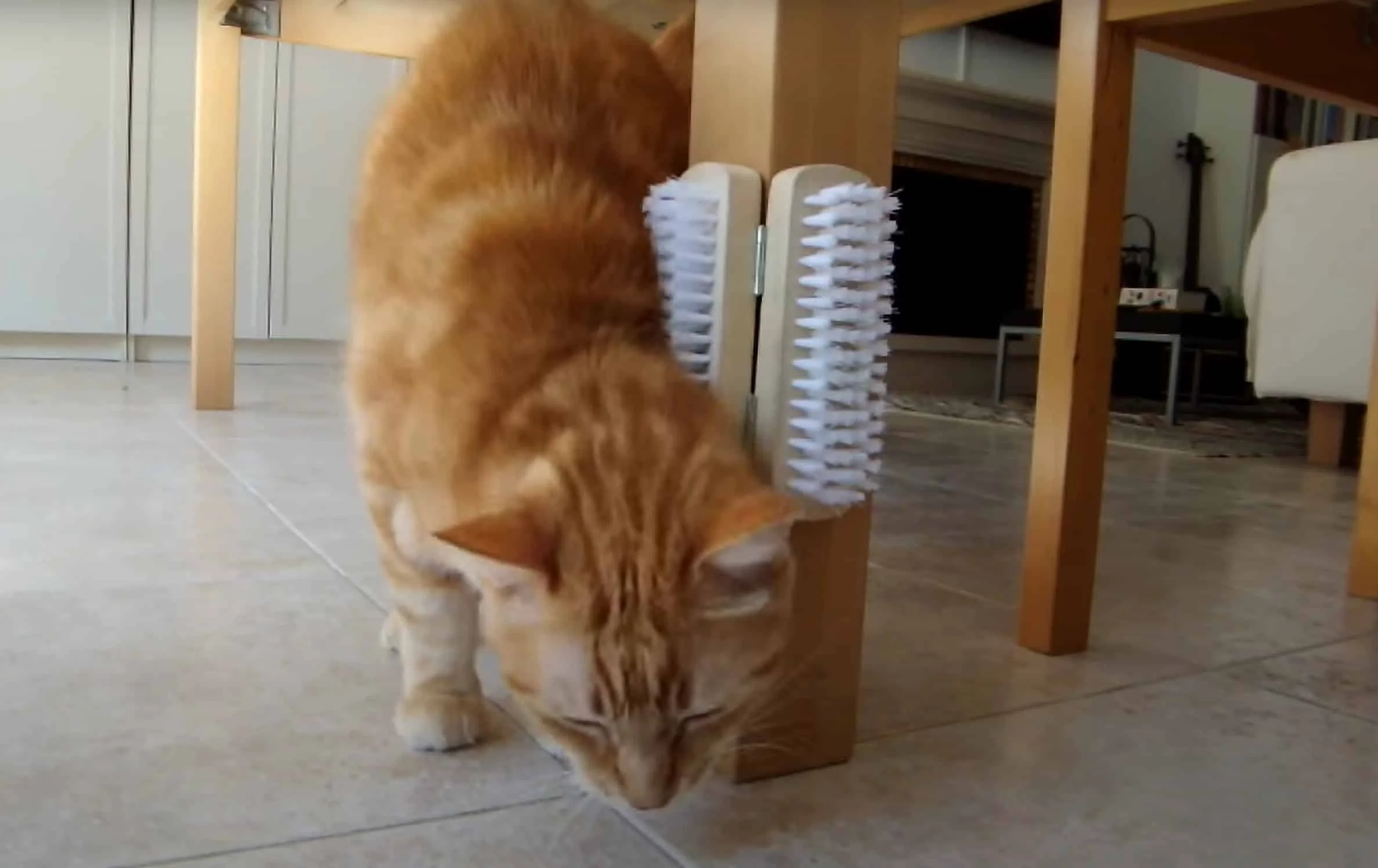 10. Scratcher DIY simple para gatos