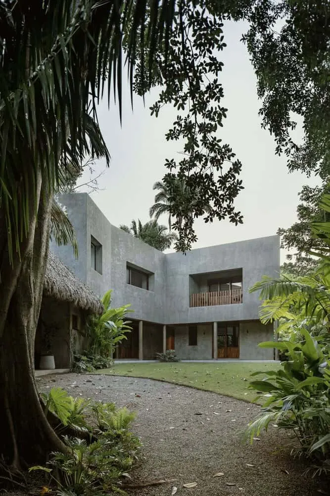Casa Higueras by CoA Arquitectura: A Jungle Retreat Shaped by Fig Trees