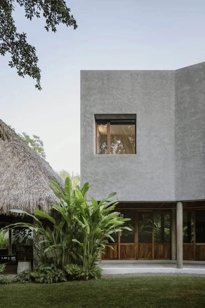Casa Higueras by CoA Arquitectura: A Jungle Retreat Shaped by Fig Trees