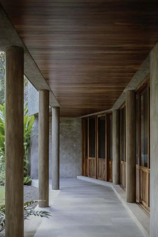 Casa Higueras by CoA Arquitectura: A Jungle Retreat Shaped by Fig Trees