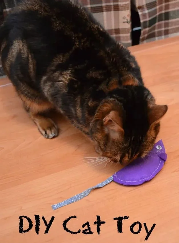 13. Juguete DIY ligero para gatos