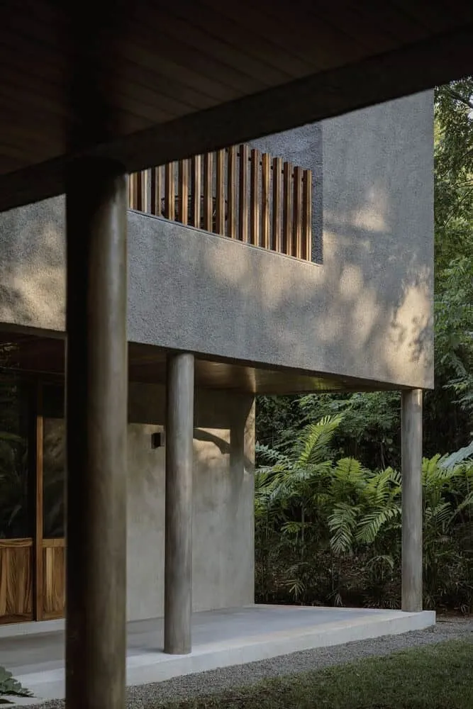 Casa Higueras by CoA Arquitectura: A Jungle Retreat Shaped by Fig Trees