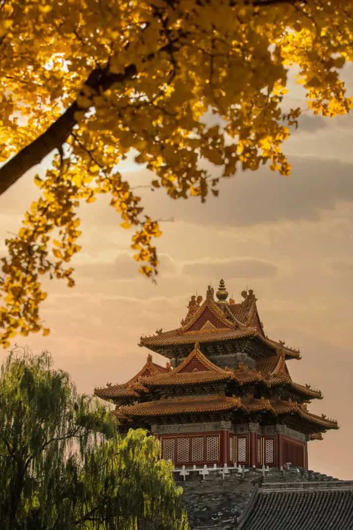 Sushi Zen by LDH Architectural Design Firm in Beijing, China