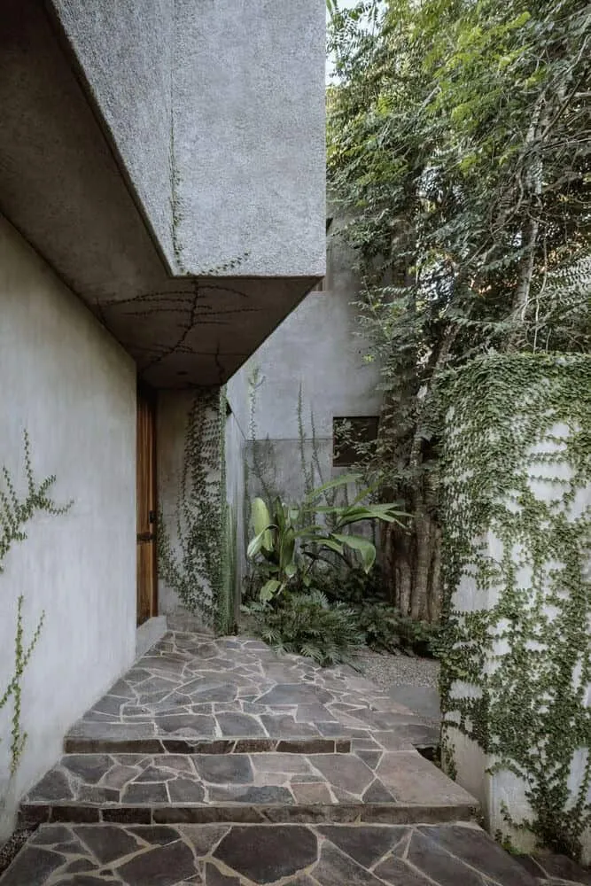 Casa Higueras by CoA Arquitectura: A Jungle Retreat Shaped by Fig Trees
