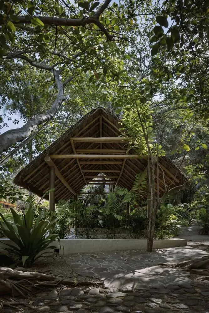 Casa Higueras by CoA Arquitectura: A Jungle Retreat Shaped by Fig Trees