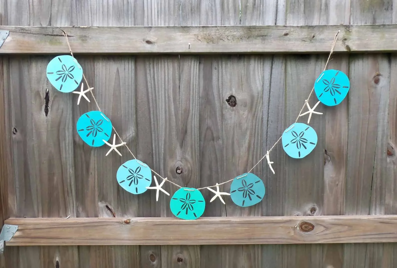 14. Sea Star and Sand Coin Light String