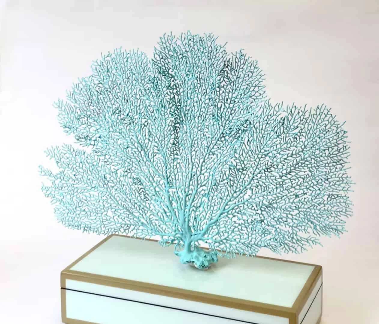 Naturally Dried Painted Sea Fan
