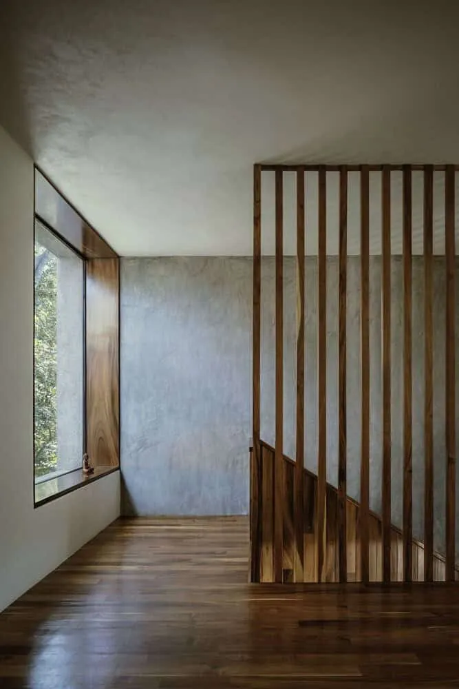 Casa Higueras by CoA Arquitectura: A Jungle Retreat Shaped by Fig Trees