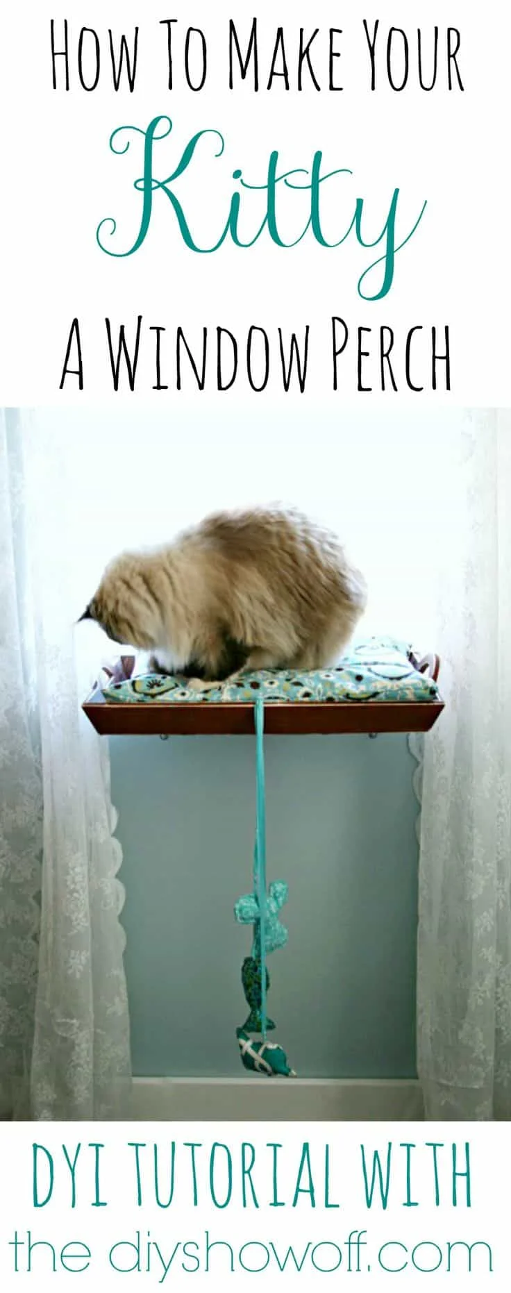 12. Percebe DIY para gatos en la ventana