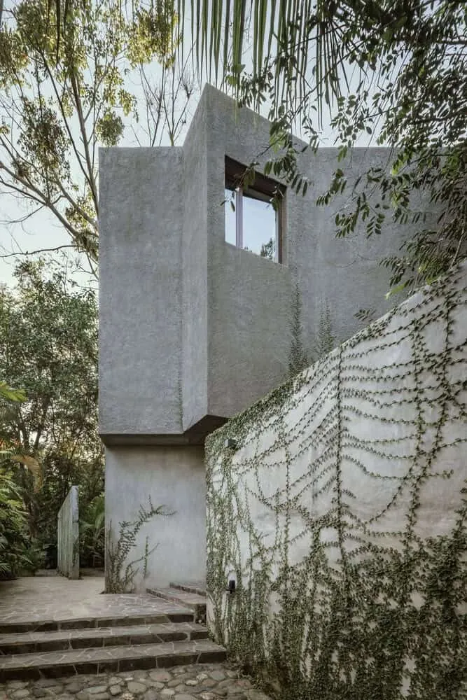 Casa Higueras by CoA Arquitectura: A Jungle Retreat Shaped by Fig Trees