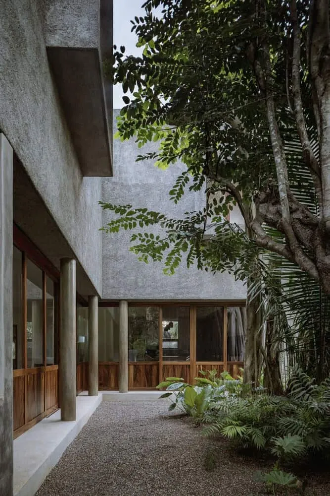 Casa Higueras by CoA Arquitectura: A Jungle Retreat Shaped by Fig Trees