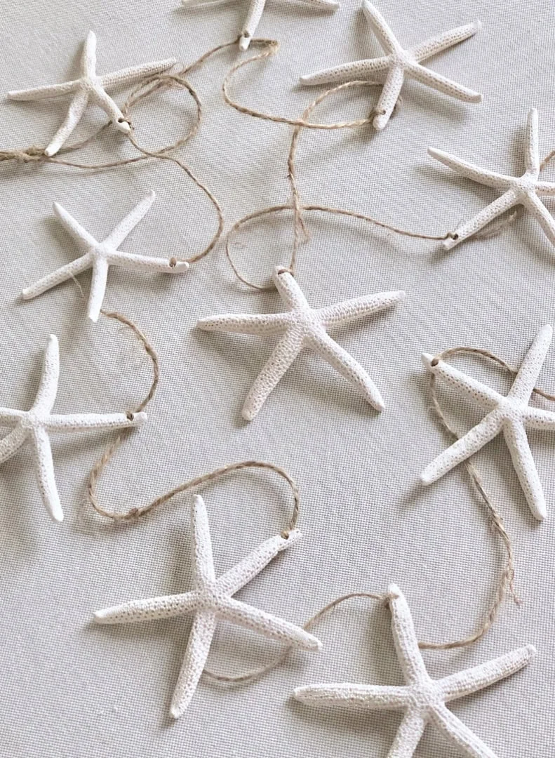 7. Sea Star Light String