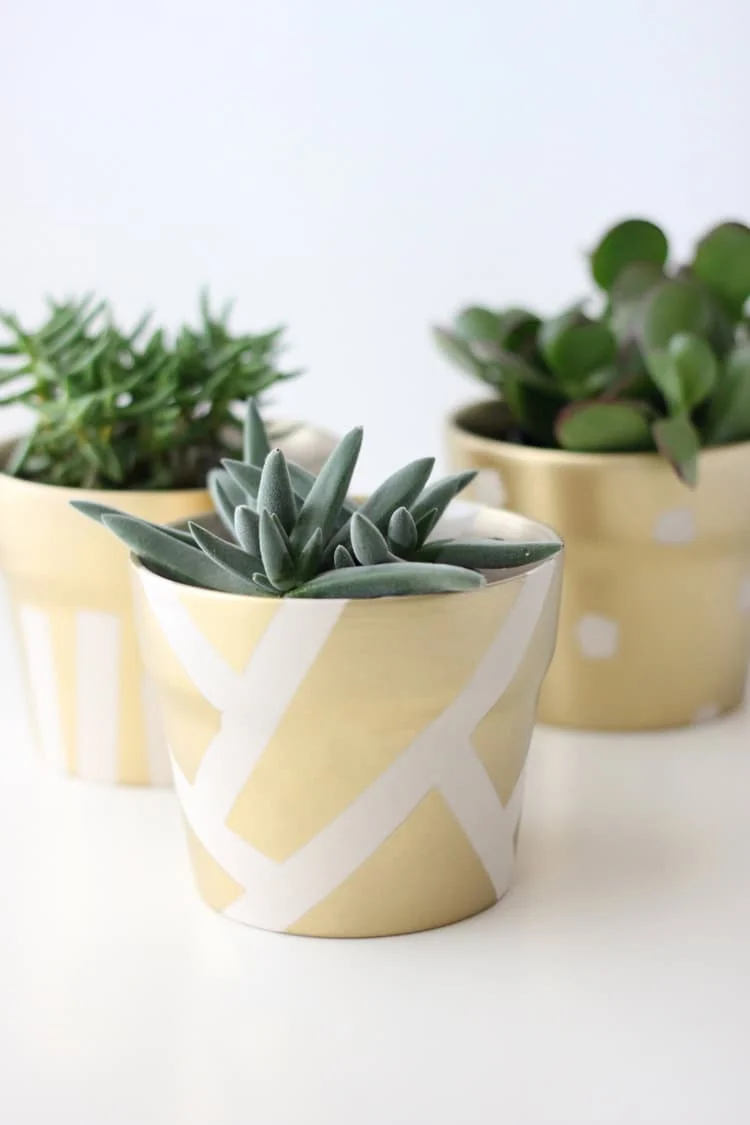 11. Gold Succulent Planters