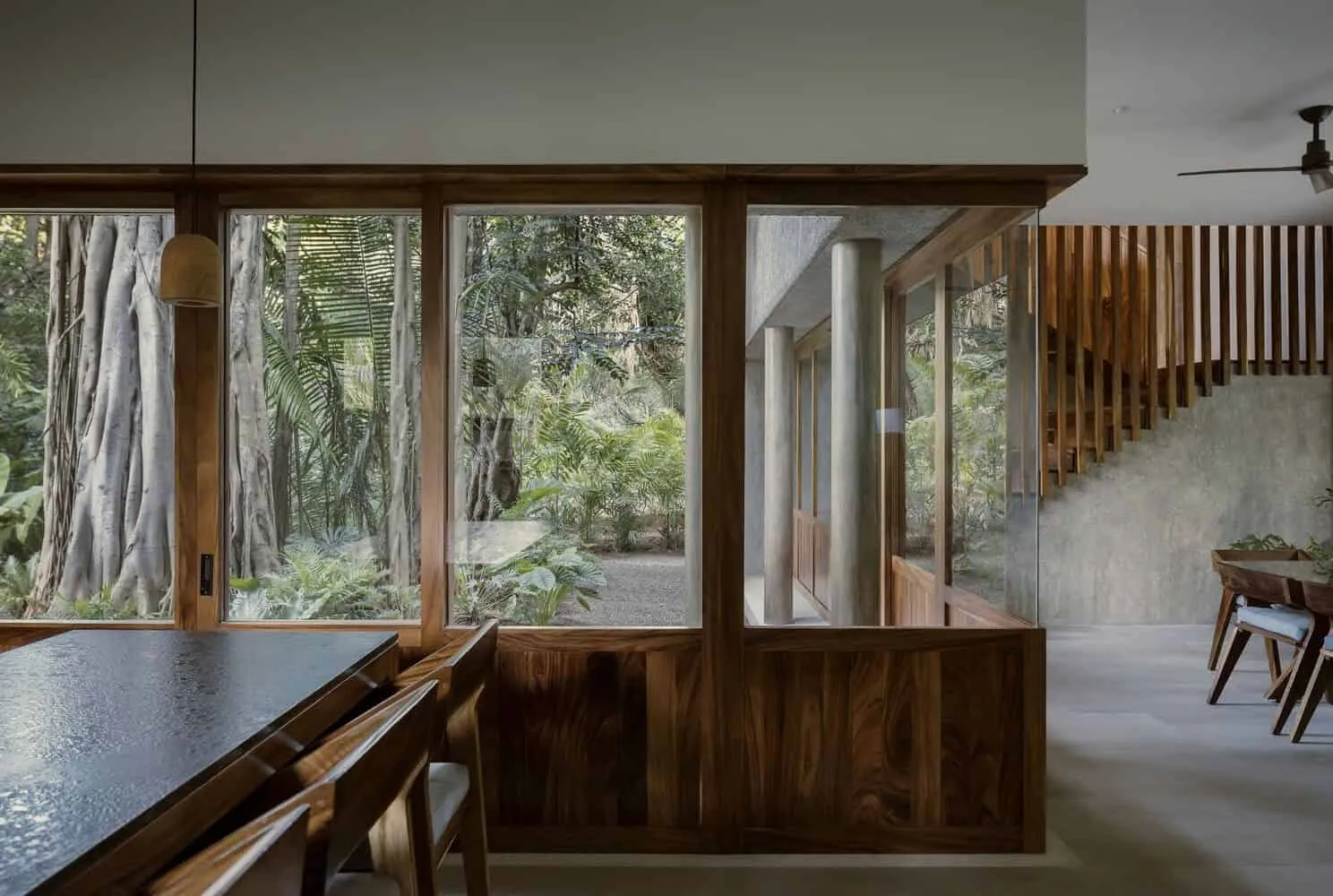 Casa Higueras by CoA Arquitectura: A Jungle Retreat Shaped by Fig Trees