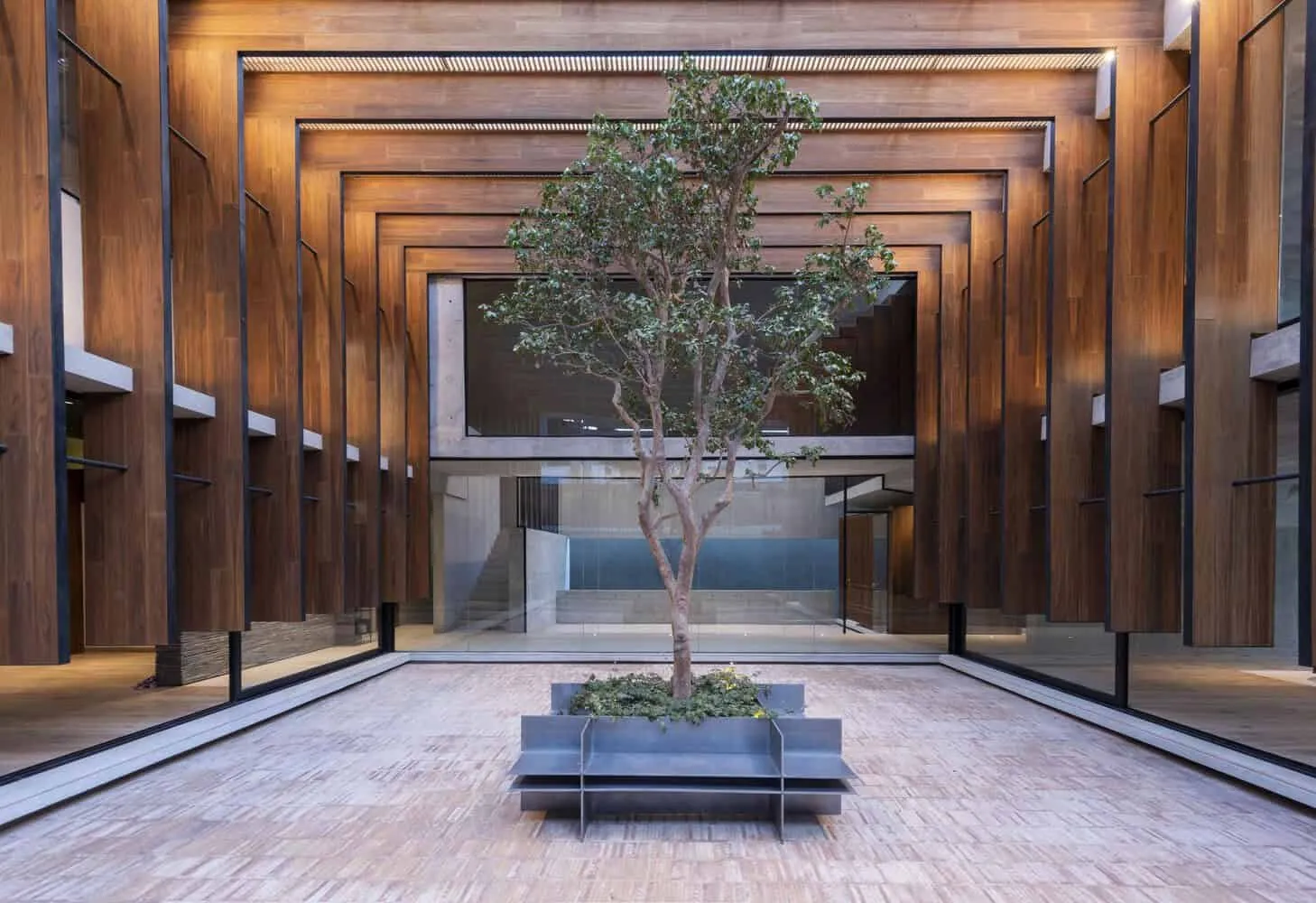 墨西哥里卡多·伊萨拉斯·加梅斯建筑事务所设计的带走廊的房子